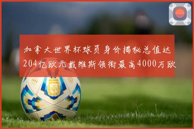 加拿大世界杯球员身价揭秘总值达204亿欧元戴维斯领衔最高4000万欧